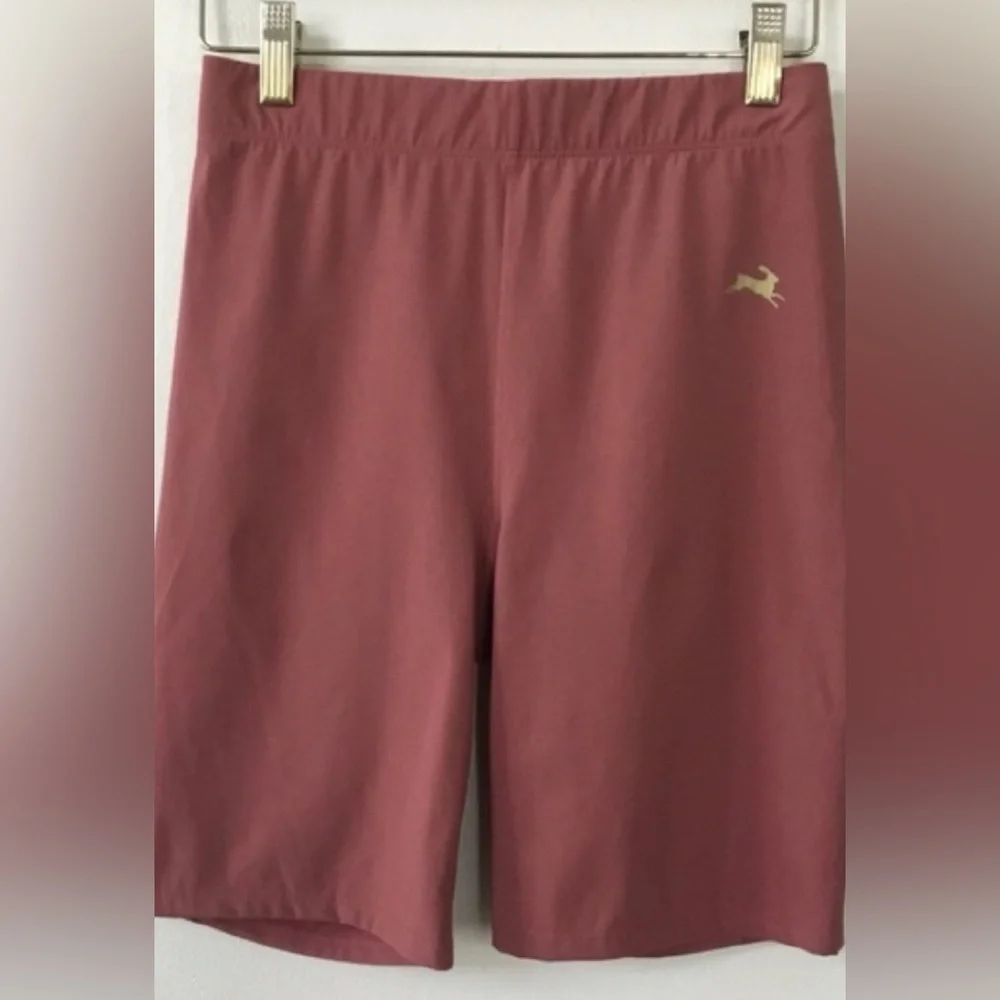 Tracksmith Allston Long Shorts in Rosewood size XS EUC